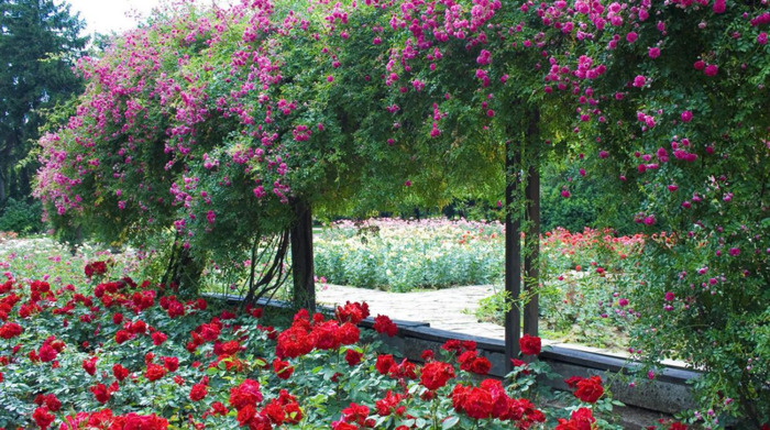 最稀有的星座【最稀有的星座排名】