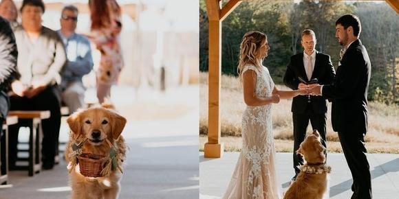 花童婚礼现场祝福语怎么说【花童婚礼上的祝福语】