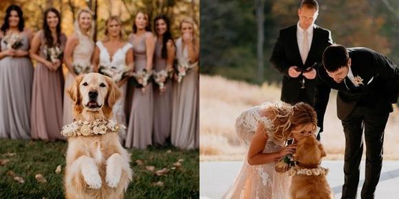 花童婚礼现场祝福语怎么说【花童婚礼上的祝福语】