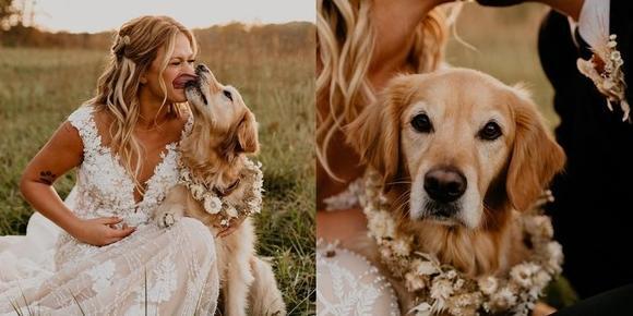 花童婚礼现场祝福语怎么说【花童婚礼上的祝福语】