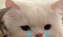 酸q和栓q的区别【酸q和拴q是啥意思】