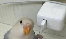 酸q和栓q的区别【酸q和拴q是啥意思】