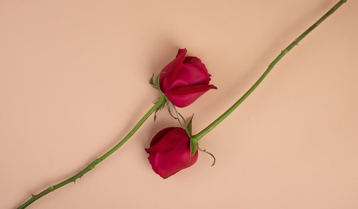 无常批注笔记【无常批注赏析】