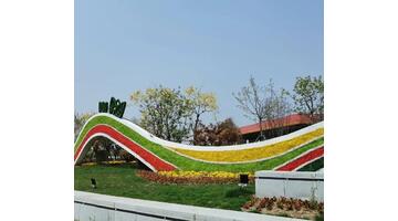 沭阳哪个花卉市场最大最便宜【沭阳哪个花木市场最大】