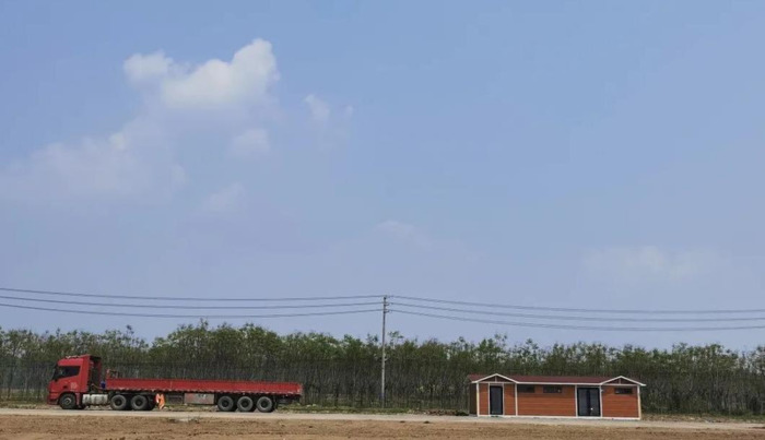 沭阳哪个花卉市场最大最便宜【沭阳哪个花木市场最大】