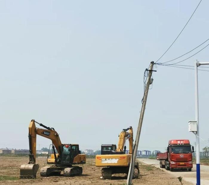 沭阳哪个花卉市场最大最便宜【沭阳哪个花木市场最大】