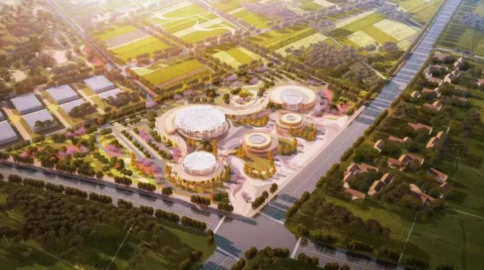 沭阳哪个花卉市场最大最便宜【沭阳哪个花木市场最大】