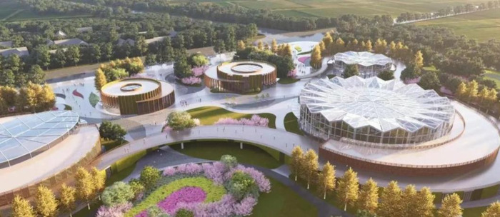 沭阳哪个花卉市场最大最便宜【沭阳哪个花木市场最大】