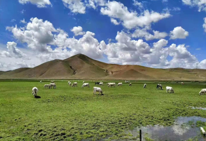 西双版纳旅游攻略自由行攻略【西双版纳旅游路线攻略】