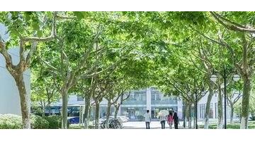 恨自己无能为力的句子说说心情【无能为力的句子说说心情短语】