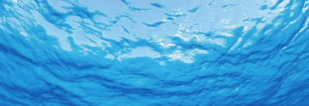 绿松石的各种颜色【绿松石的颜色是什么颜色】