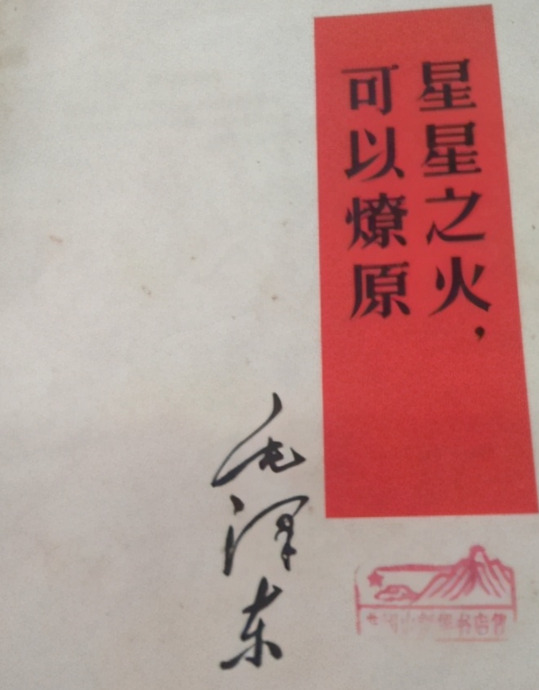 透过现象看本质什么意思【透过现象看本质谁说的】