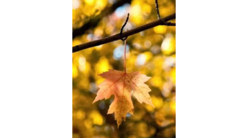 立冬七言诗句【立冬七言诗现代】