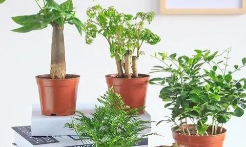 商机致富项目【暴富的项目】