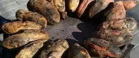 商机致富项目【暴富的项目】