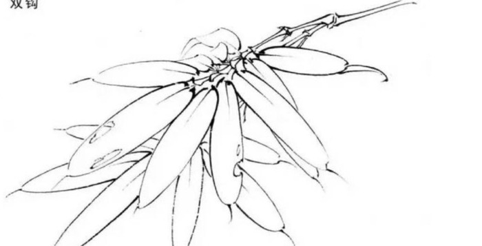 自学工笔画入门步骤【想学工笔画怎么入手】