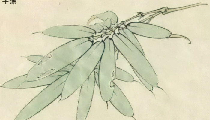 自学工笔画入门步骤【想学工笔画怎么入手】