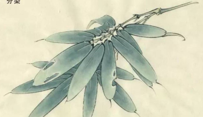 自学工笔画入门步骤【想学工笔画怎么入手】