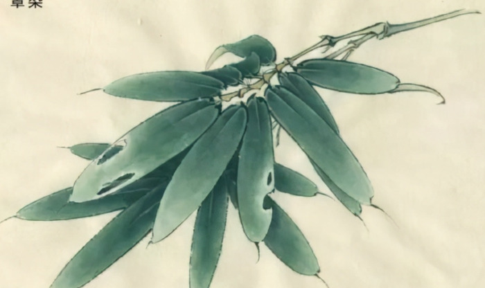 自学工笔画入门步骤【想学工笔画怎么入手】