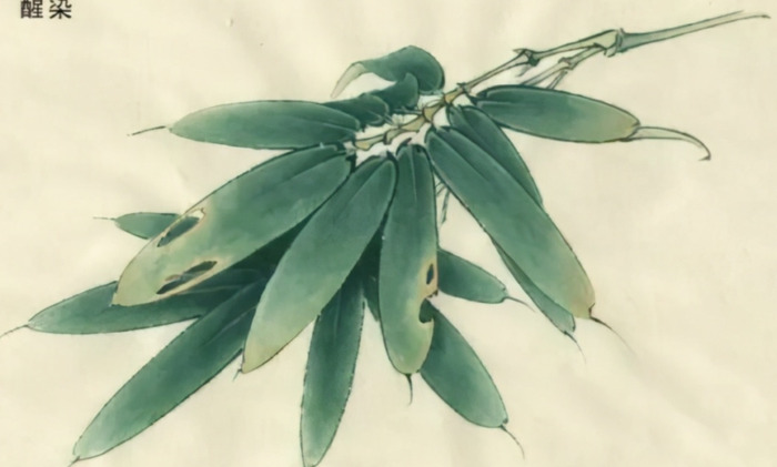 自学工笔画入门步骤【想学工笔画怎么入手】