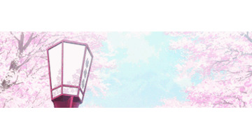 适合发插花的句子【插花的搭配】