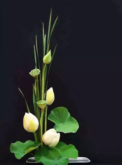 适合发插花的句子【插花的搭配】