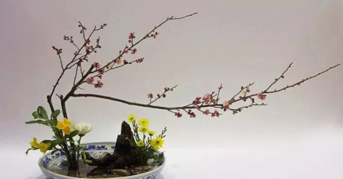 适合发插花的句子【插花的搭配】