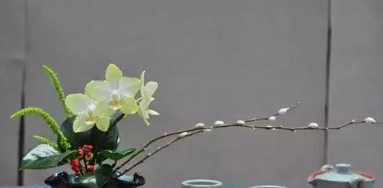 适合发插花的句子【插花的搭配】