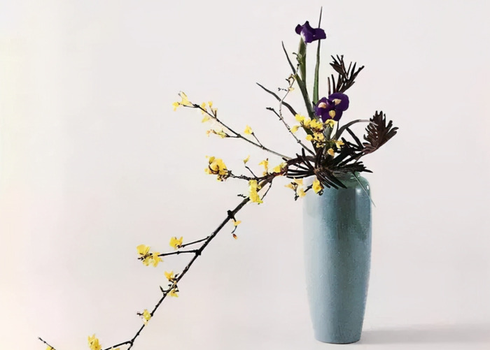 适合发插花的句子【插花的搭配】