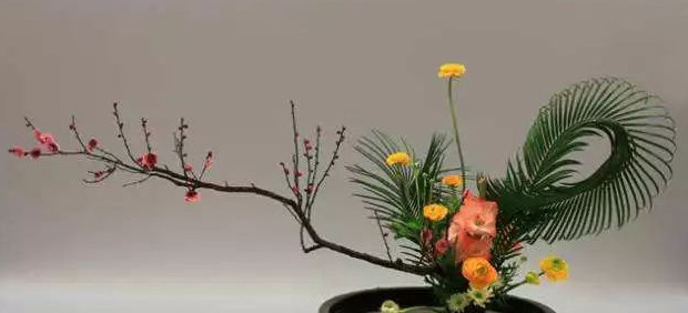 适合发插花的句子【插花的搭配】