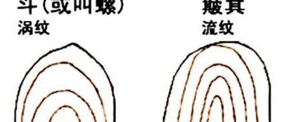 没有斗的男人命运【没有斗的男人命运怎么样】