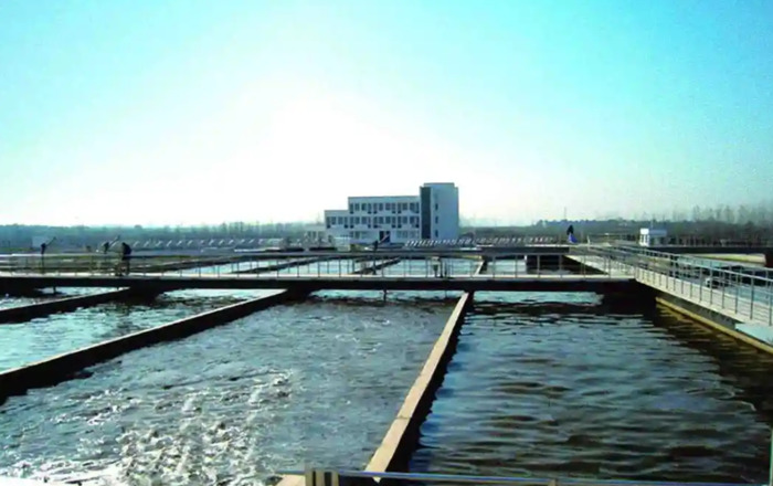 什么牌子的碱片好【片碱什么品牌的好】