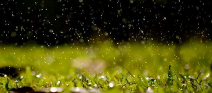 中唐诗人代表人物有谁【中唐诗人代表作】