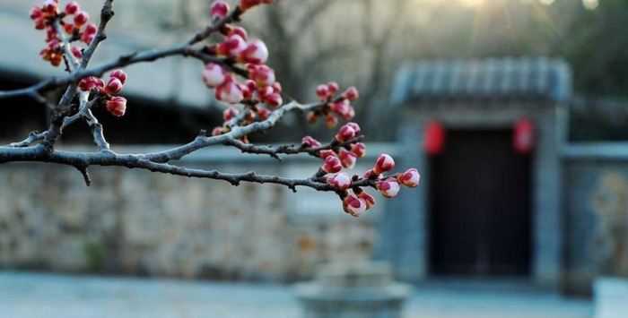 中唐诗人代表人物有谁【中唐诗人代表作】