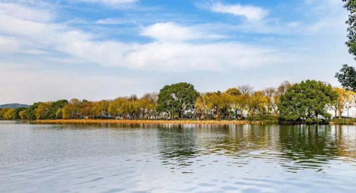 中唐诗人代表人物有谁【中唐诗人代表作】