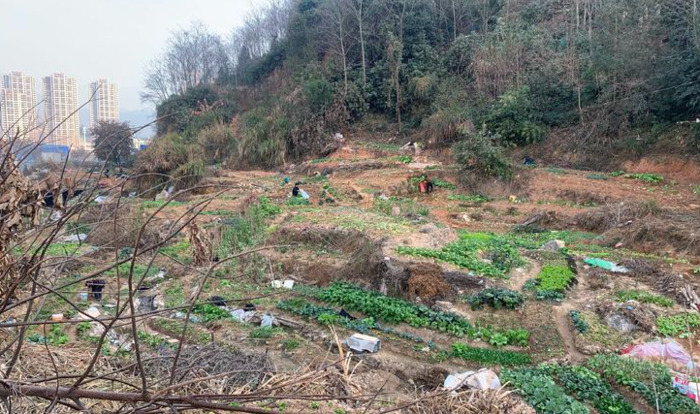 古滇名城的开发商【古滇名城发展前景】