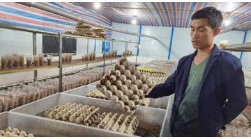 养一万只蝎子的利润【养蝎子利润多少】