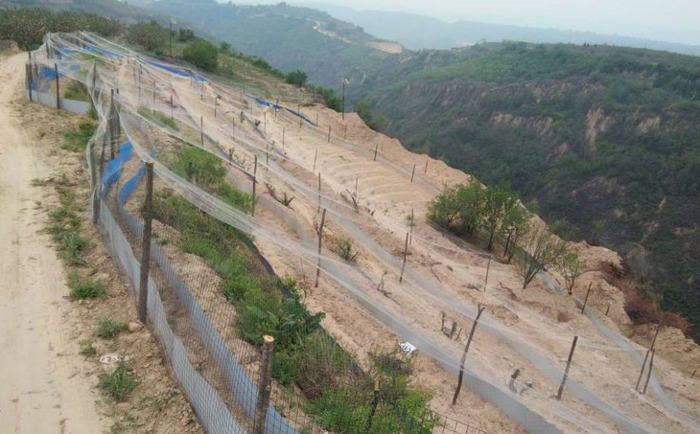 养一万只蝎子的利润【养蝎子利润多少】