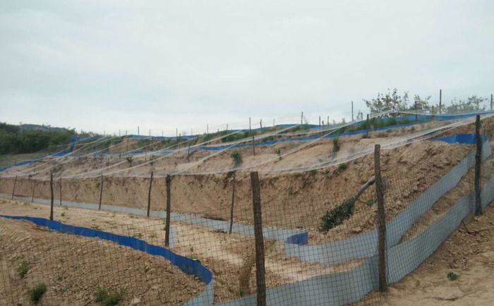 养一万只蝎子的利润【养蝎子利润多少】