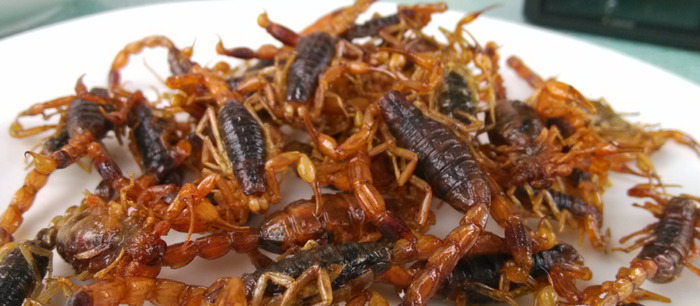 养一万只蝎子的利润【养蝎子利润多少】