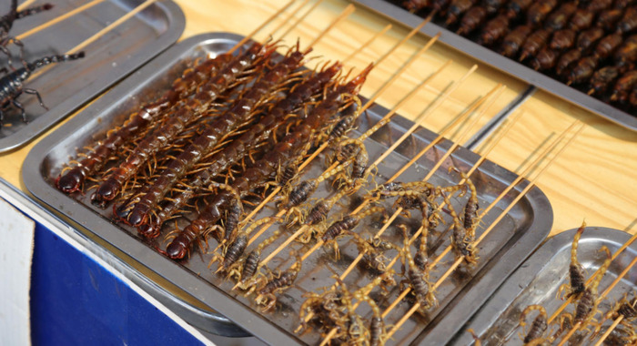 养一万只蝎子的利润【养蝎子利润多少】