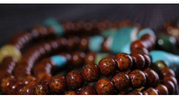 怎么辨别菩提子是不是塑料【菩提子跟塑料一样吗】