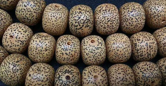 怎么辨别菩提子是不是塑料【菩提子跟塑料一样吗】