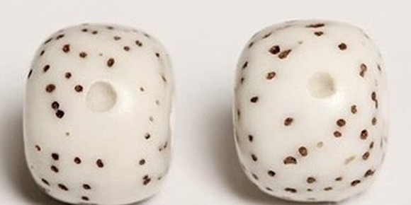 怎么辨别菩提子是不是塑料【菩提子跟塑料一样吗】