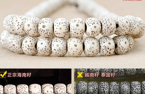 怎么辨别菩提子是不是塑料【菩提子跟塑料一样吗】