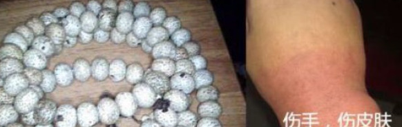 怎么辨别菩提子是不是塑料【菩提子跟塑料一样吗】