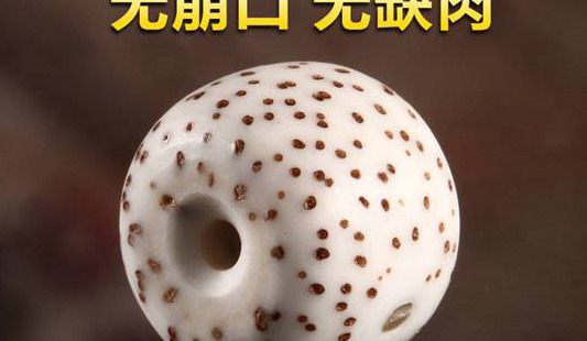 怎么辨别菩提子是不是塑料【菩提子跟塑料一样吗】