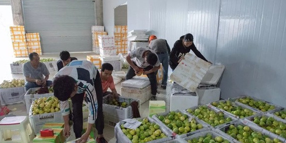 百香果市场价多少钱一斤【百香果市场多少钱一斤】