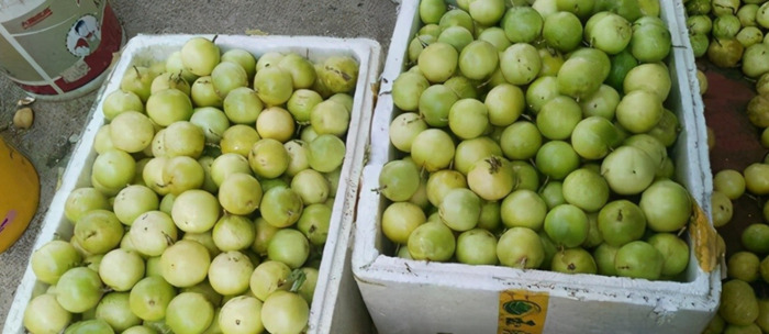 百香果市场价多少钱一斤【百香果市场多少钱一斤】