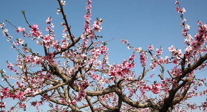 三月青海湖适合旅游吗【三月适合去青海哪里】